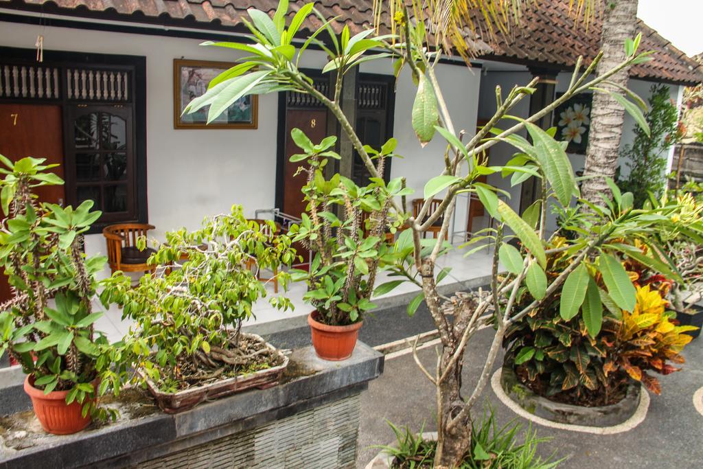 Nyoman Guesthouse Canggu Εξωτερικό φωτογραφία